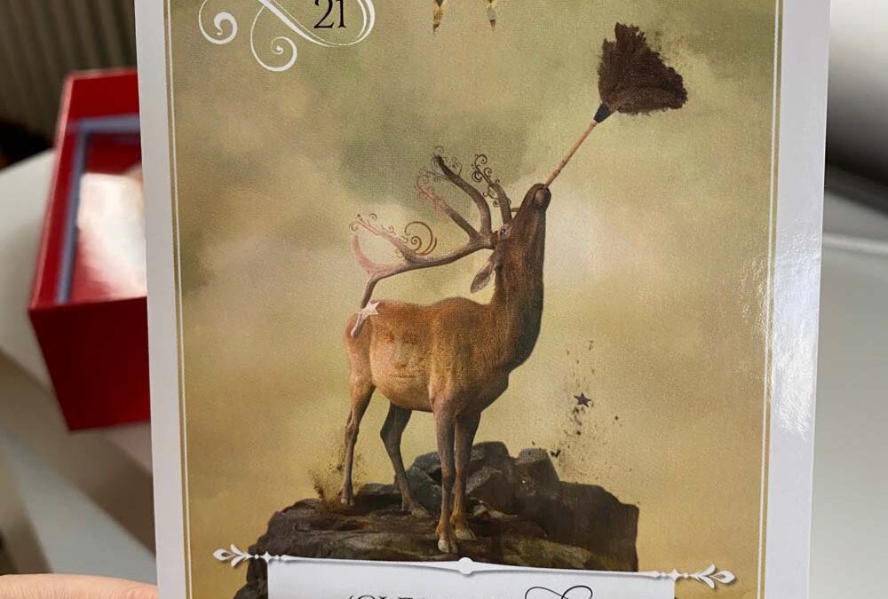 Today’s Card: Clean it up (21/3)