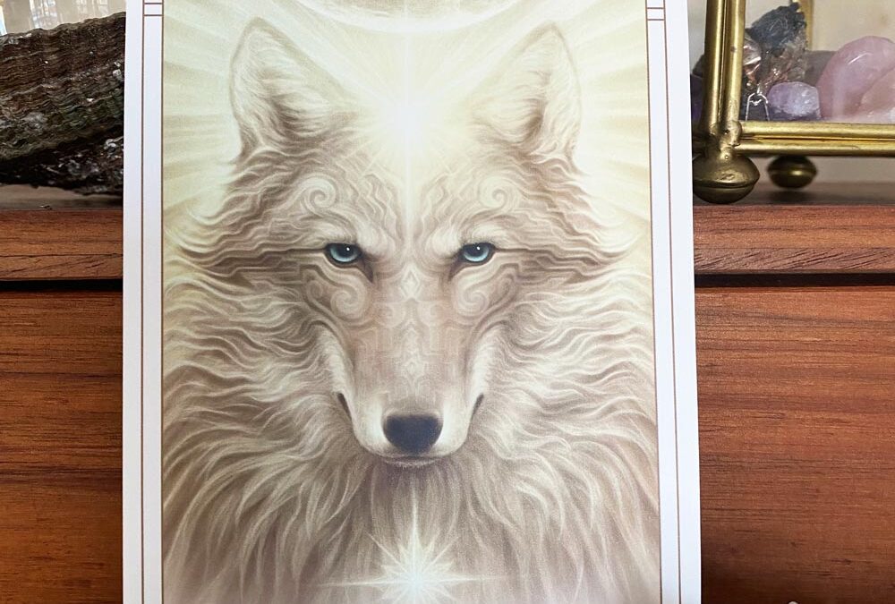 Today’s card: Beta of Spirit Wolf (23)