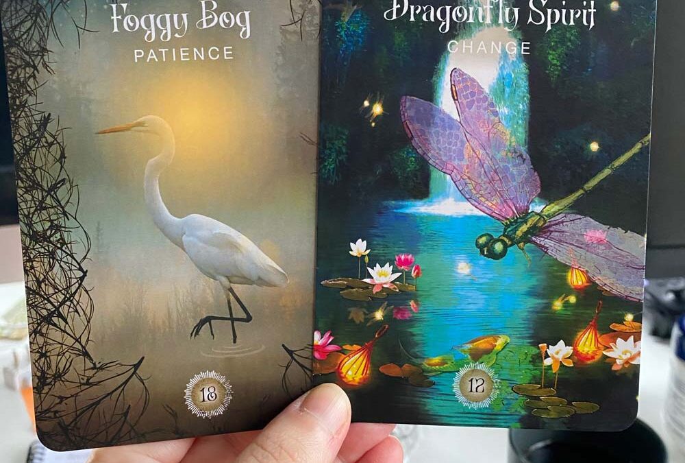 Today’s Cards: Foggy Bog, Patience (18/9) and Dragonfly Spirit, Change (12/3)