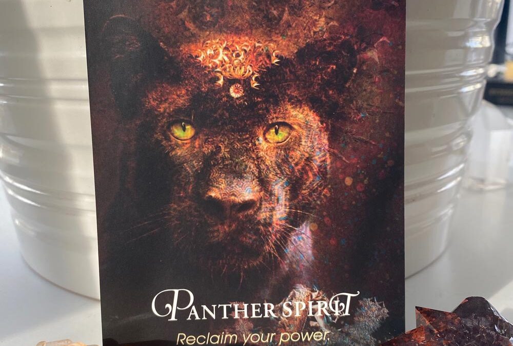 Today’s card: Panther Spirit (44): Reclaim your power.